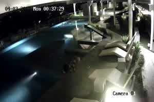 监控破解偷拍豪华度假村激情一刻 喝玩红酒水中缠绵 各种姿势连操好几炮  背景图片