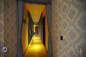 索菲sofia（浴缸里的大奶牛）  背景图片