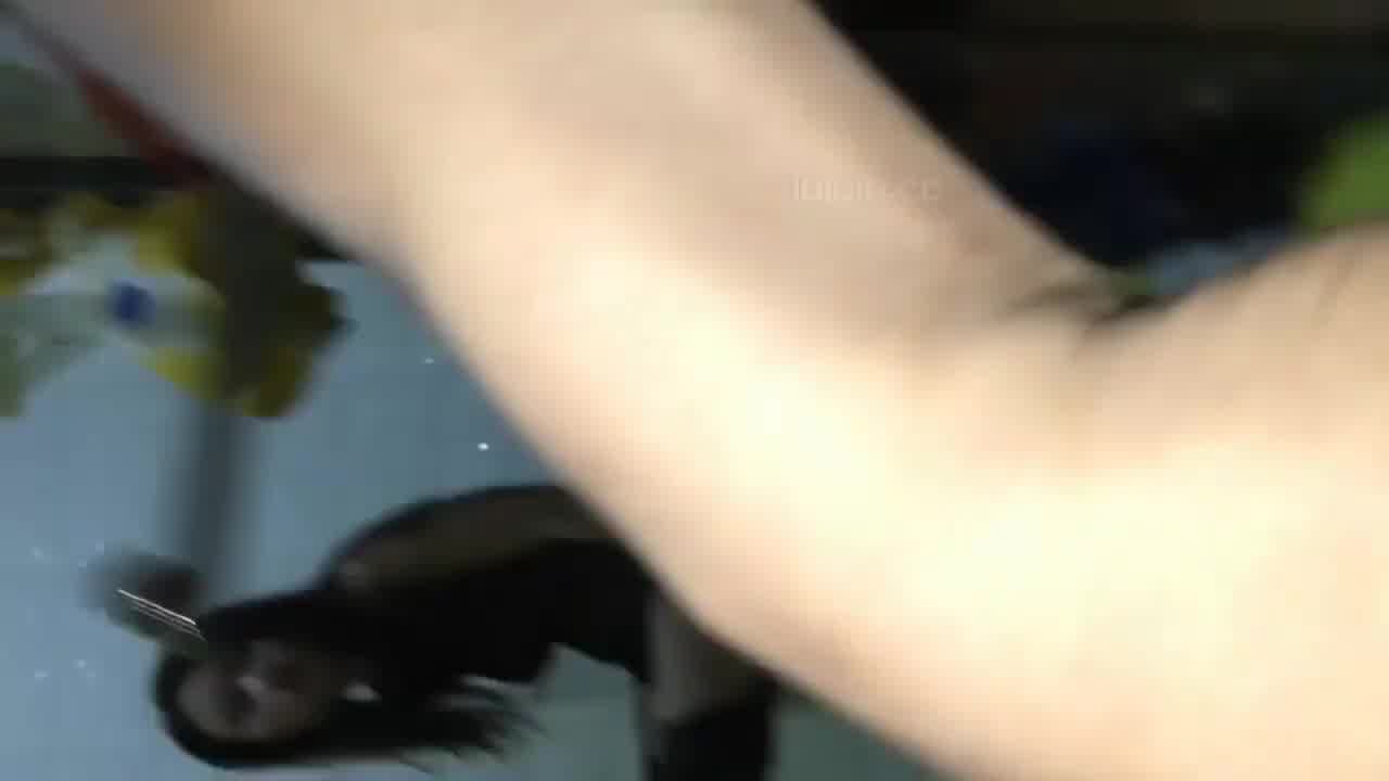  淫荡小母狗在厕所示范自摸勾引老公，然后就被带上床爽操 的剧照3