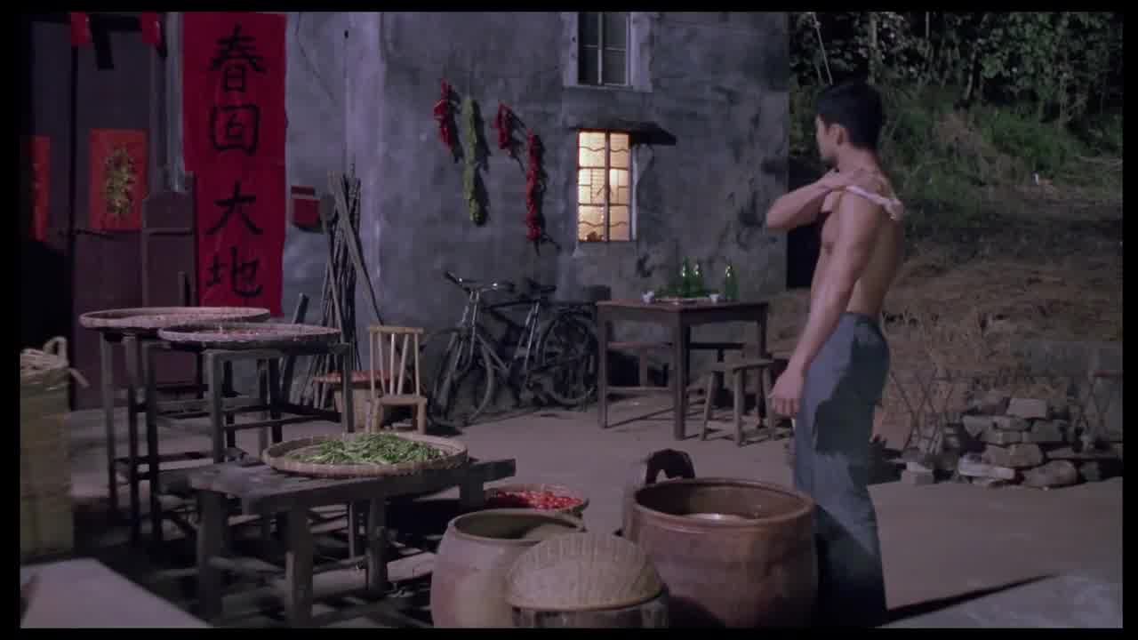  女神级清纯少妇郑艳丽惊艳片子《借种》AI修复 顶级尤物 的剧照2