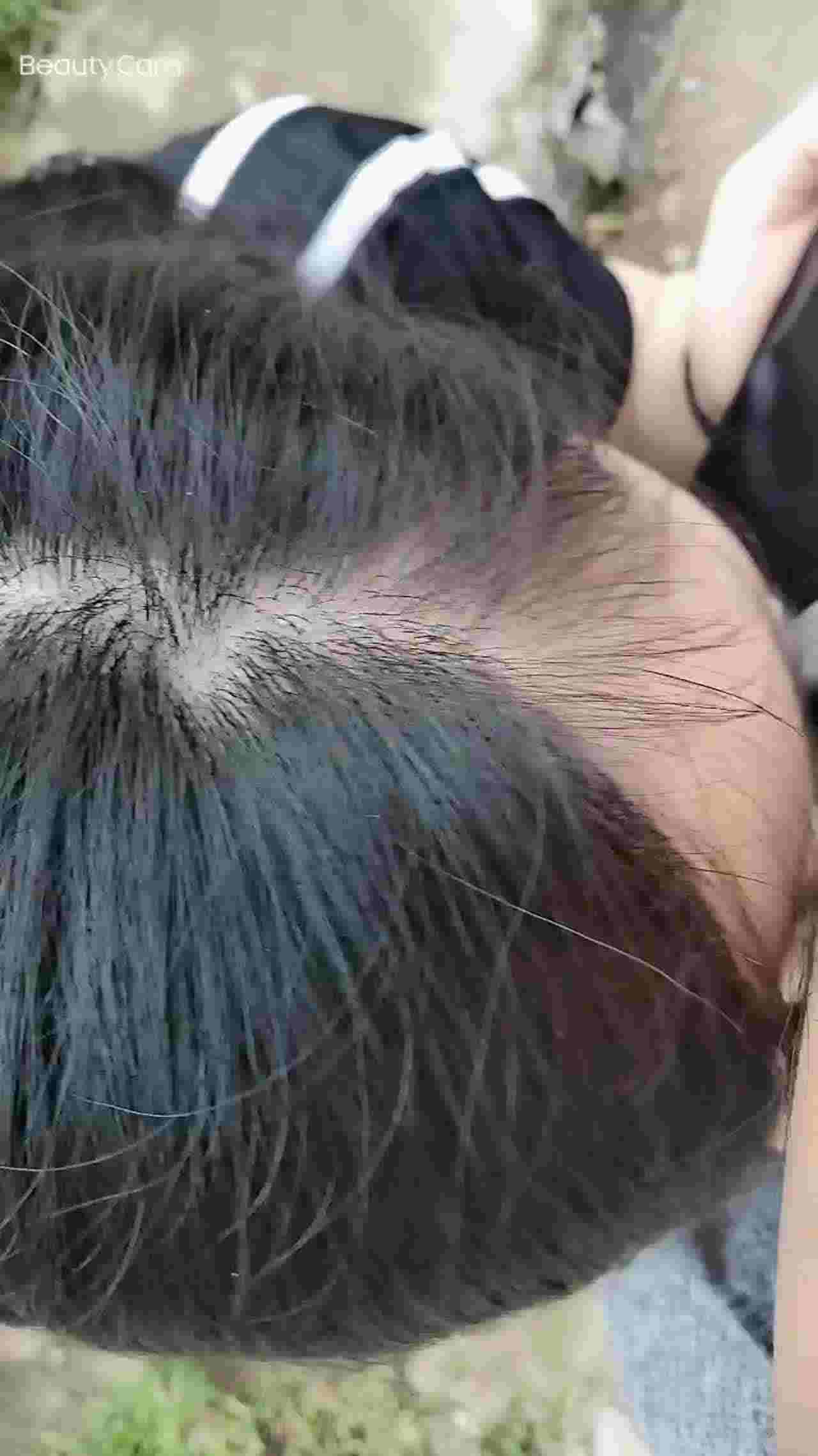  对面好多老头摘枇杷 的剧照7