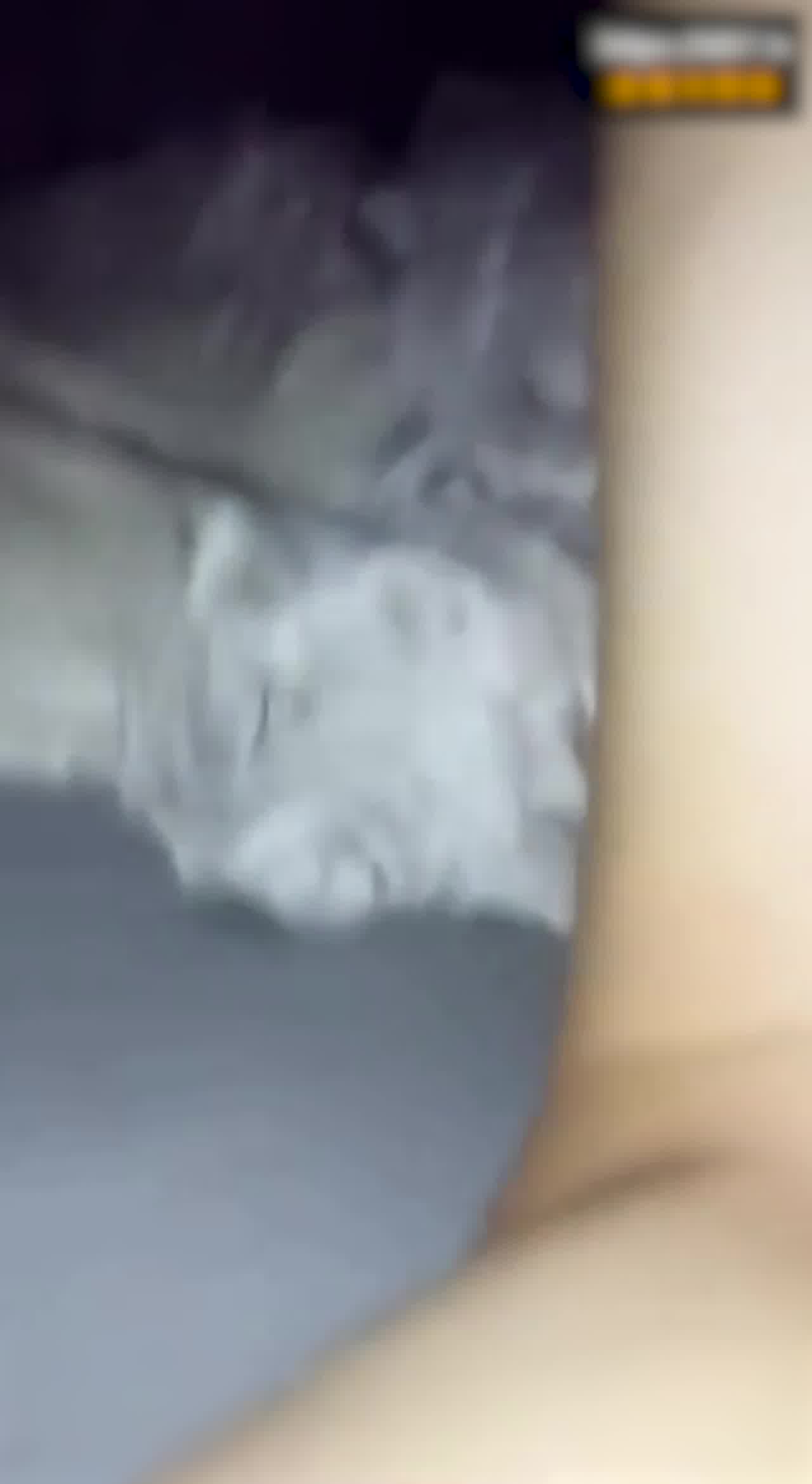  美女主播舔脚舔肛颜射 全方位伺候金主爸爸 的剧照10