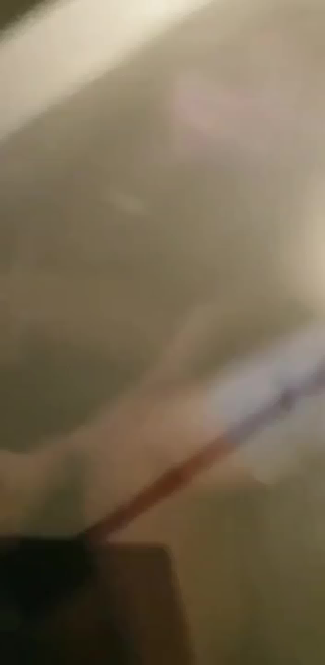  香港 运动型正妹停车场车震有妇之夫!被偷拍只好驾车逃逸!! 的剧照2